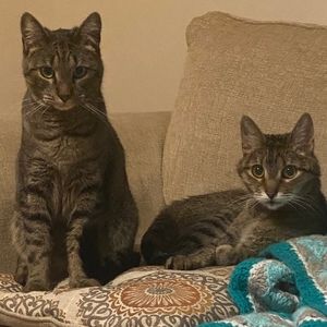 Meet your Posher, Stacey